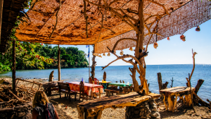 The BeeHive Driftwood Cafe Camiguin